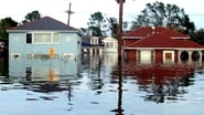 Storm That Drowned a City