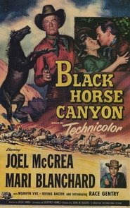 Black Horse Canyon Film Online Kijken