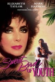 مشاهدة فيلم Sweet Bird of Youth 1989 مباشر اونلاين