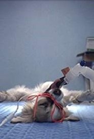 Animals Under Anaesthesia: Speculations on the Dreamlife of Beasts (2018) Animals Under Anaesthesia: Speculations on the Dreamlife of Beasts (2018)