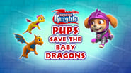 Rescue Knights: Pups Save the Baby Dragons