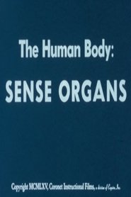 The Human Body: Sense Organs (1965) The Human Body: Sense Organs (1965)