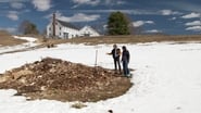 Home Composting, Steam Boiler