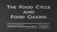 The Food Cycle and Food Chains
