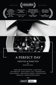 A Perfect Day (2014) A Perfect Day (2014)