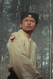 白鹰 白鹰