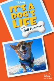 Image Héros fidèles avec Bill Farmer