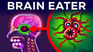The Most Horrible Parasite: Brain Eating Amoeba