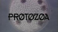Protozoa