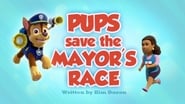 Pups Save the Mayor's Race