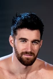 Woody Fox Woody Fox