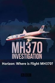 Horizon: Where is Flight MH370? (2014) Horizon: Where is Flight MH370? (2014)