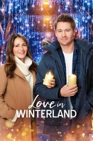 مشاهدة فيلم Love in Winterland 2020 مترجم