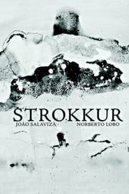 Strokkur (2011) Strokkur (2011)
