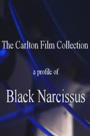 A Profile of 'Black Narcissus'