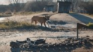 Ð£ Ð¿Ð¾ÑÑÐºÐ°Ñ ÐÑÐºÐ¸