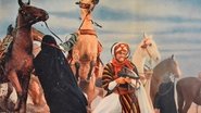 Antinea, l'amante della cittÃ  sepolta