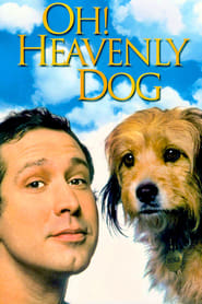 Oh Heavenly Dog Film Online Kijken