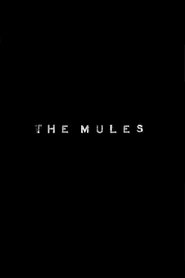 The Mules The Mules