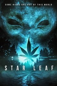 Star Leaf affisch