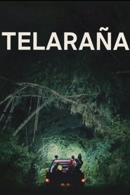 Image Telaraña