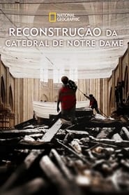 Image Reconstrução da Catedral de Notre Dame