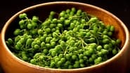 Japanese Pepper: The Zesty Spice of Kyoto Cuisine