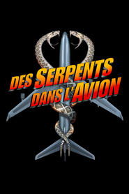 Image Des Serpents Dans l'Avion