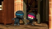 Home-Grown Ninjas