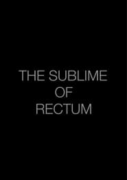 The Sublime of Rectum