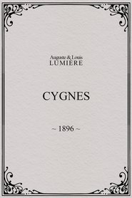 Cygnes