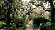 The Myrtles Plantation