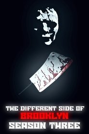 The Different Side Of Brooklyn Season 3