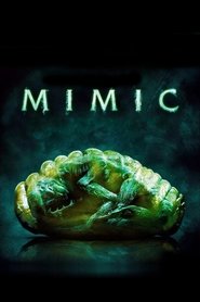 Imagen Mimic