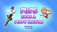 Pups Save a Puffy Mayor