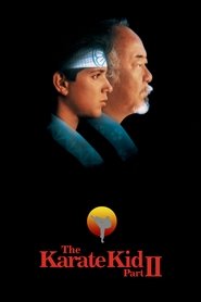 Watch The Karate Kid, Part II (1986)