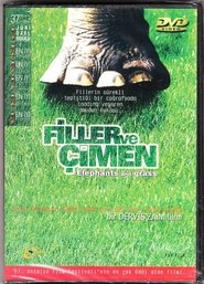 Elephants and Grass Film Streaming HD