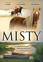 Photo de Misty affiche