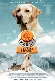 Image Charlie: Un perro especial