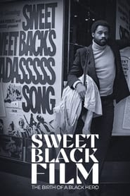 Naissance d'un héros noir au cinéma : Sweet Sweetback