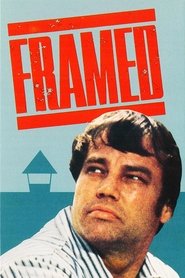 Framed Film Streaming HD