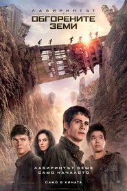 Image Лабиринтът: В обгорените земи