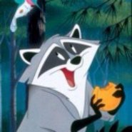 meekodev profile picture