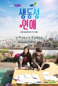 Romance Full of Life Romance Full of Life