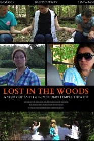 Lost in the Woods (2017) Lost in the Woods (2017)