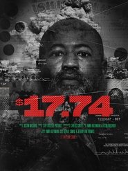 $17.74 (2025)