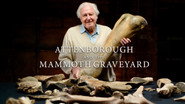 Attenborough and the Mammoth Graveyard
