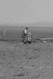 Sons of the Soil (1915) Sons of the Soil (1915)