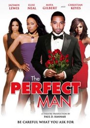 The Perfect Man se film streaming