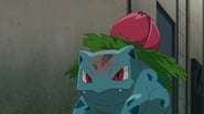 Ivysaur's Mysterious Tower!